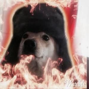 Meet your Posher, Malachi